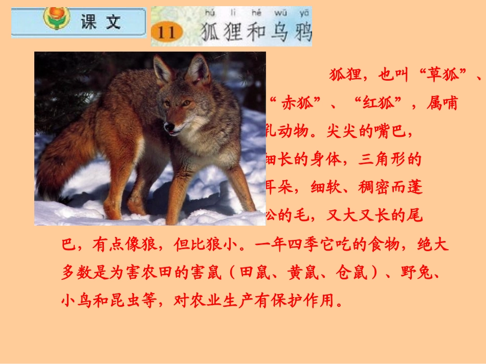 《狐狸和乌鸦》PPT课件[湘教版三年级语文下册]_第3页