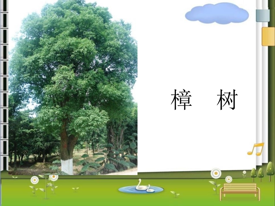 《舍不得这棵树》PPT课件[湘教版三年级语文下册]_第2页