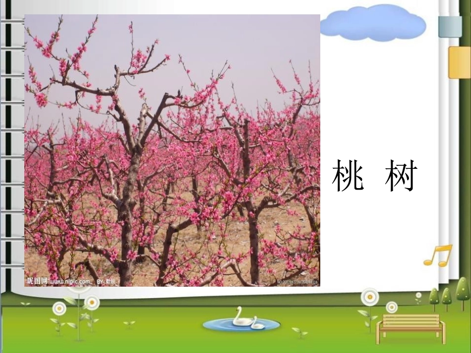 《舍不得这棵树》PPT课件[湘教版三年级语文下册]_第3页