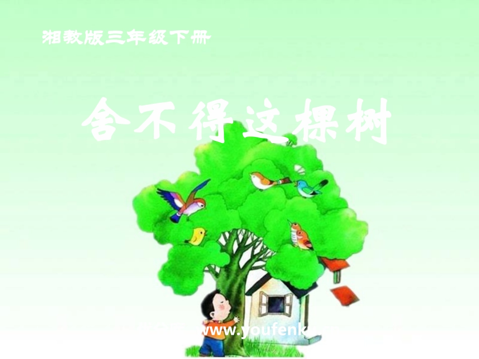 《舍不得这棵树》PPT课件[湘教版三年级语文下册]_第1页