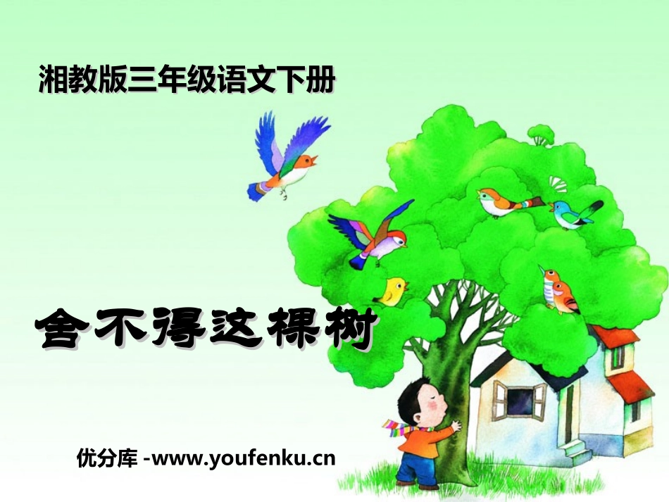 《舍不得这棵树》PPT课件[湘教版三年级语文下册]_第1页