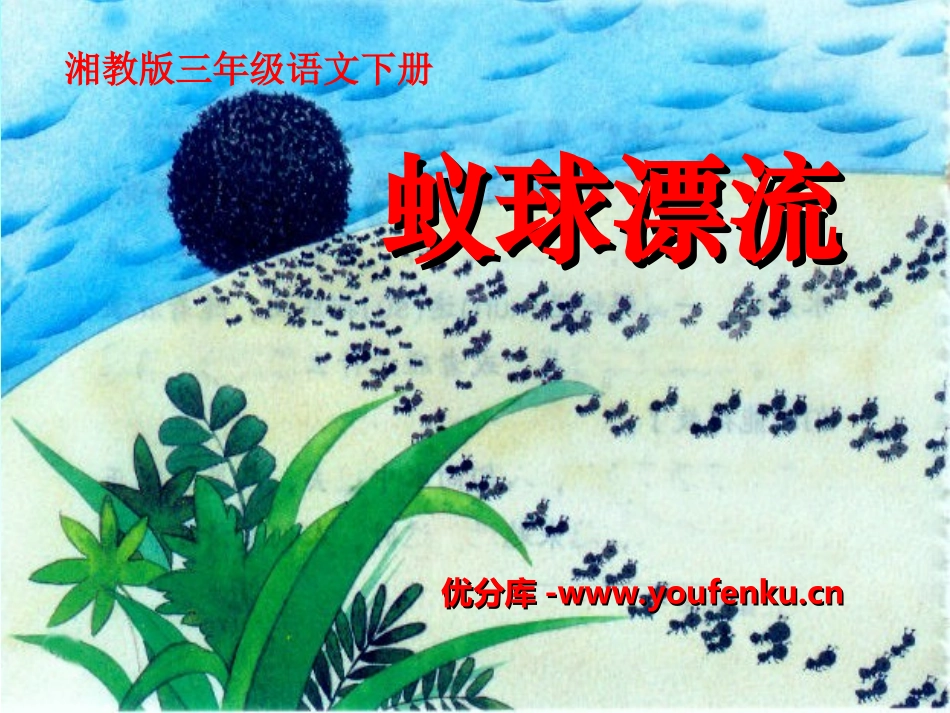 《蚁球漂流》PPT课件[湘教版三年级语文下册]_第1页