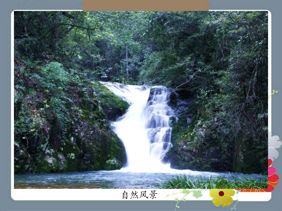 《读不完的大书》PPT课件[湘教版三年级语文下册]_第3页