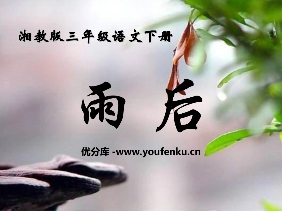 《雨后》PPT课件1[湘教版三年级语文下册]_第1页