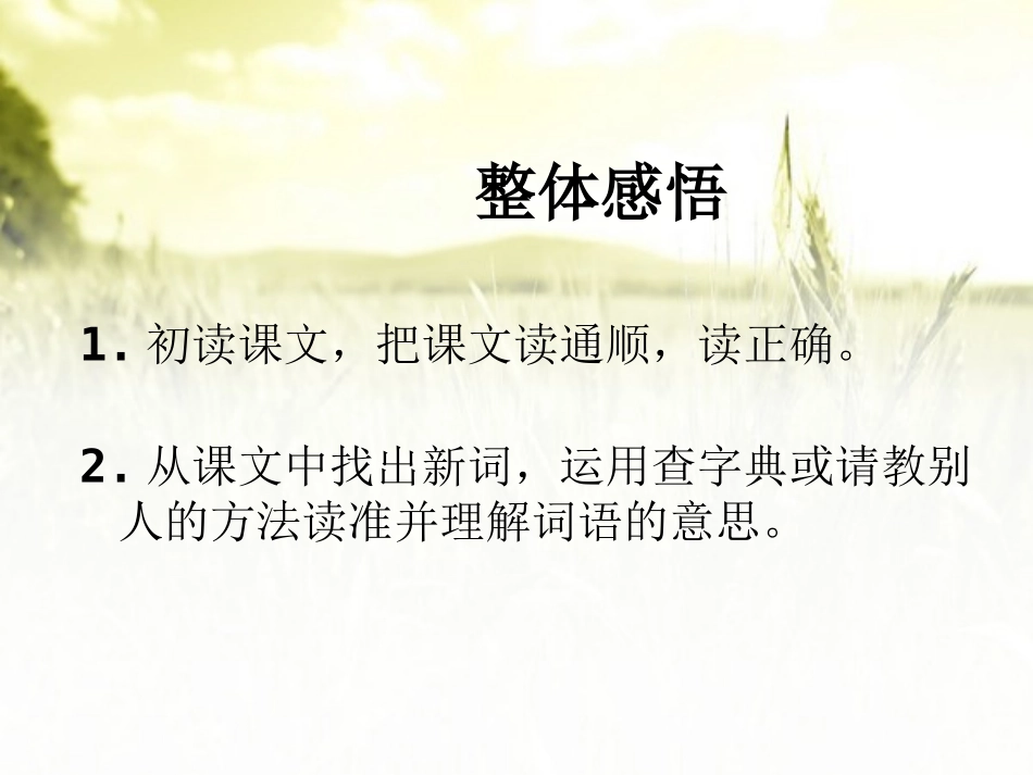 《故乡的风景》PPT课件[湘教版四年级语文上册]_第3页