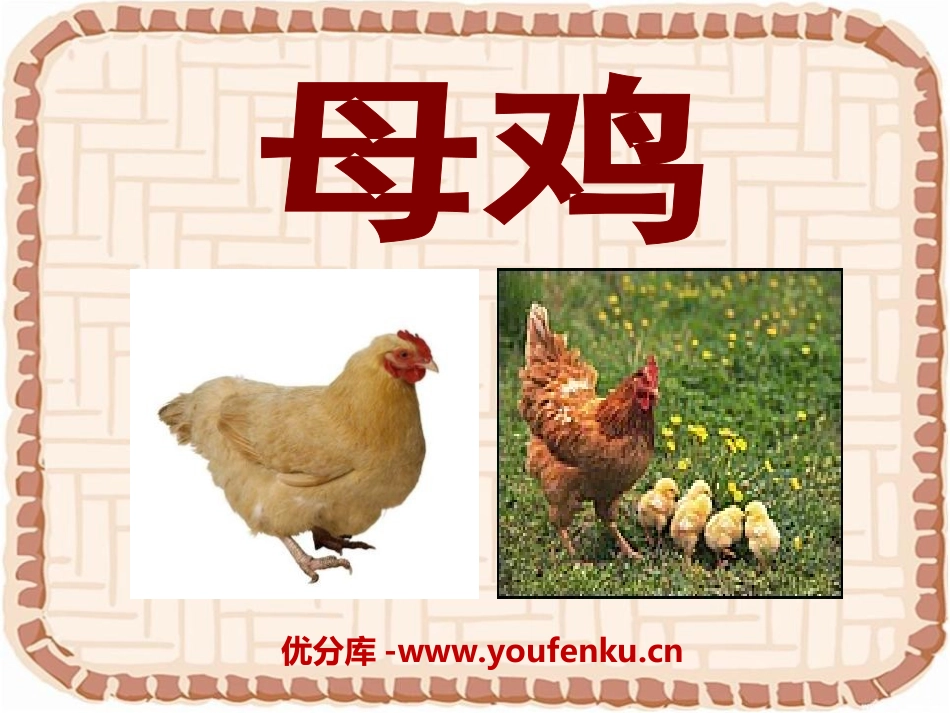 《母鸡》PPT课件[湘教版四年级语文上册]_第1页