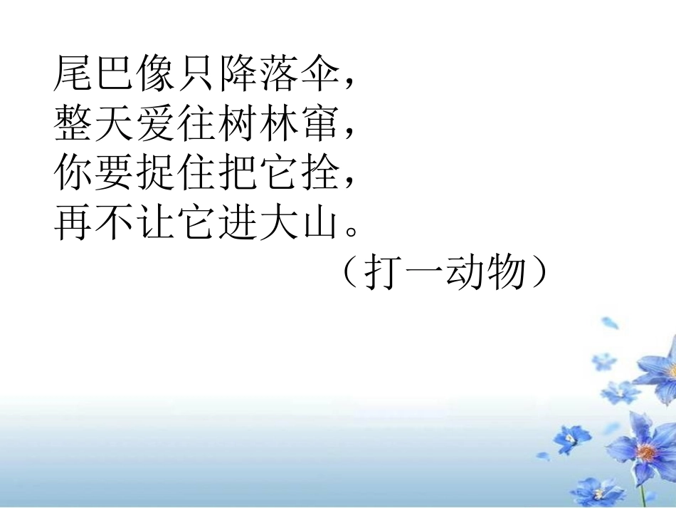 《那只松鼠》PPT课件[湘教版四年级语文上册]_第2页