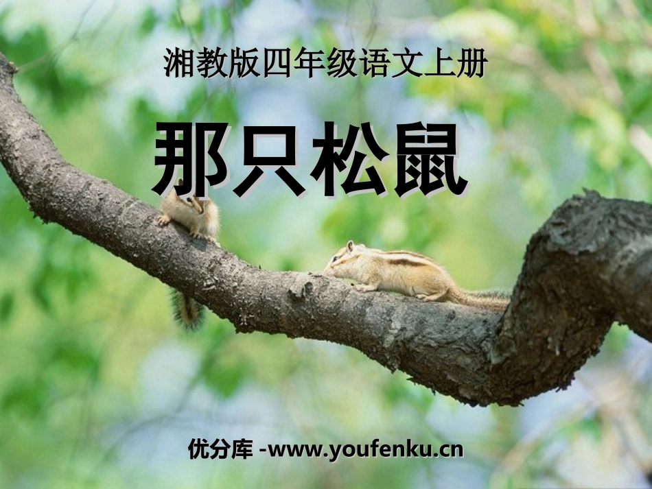 《那只松鼠》PPT课件[湘教版四年级语文上册]_第1页