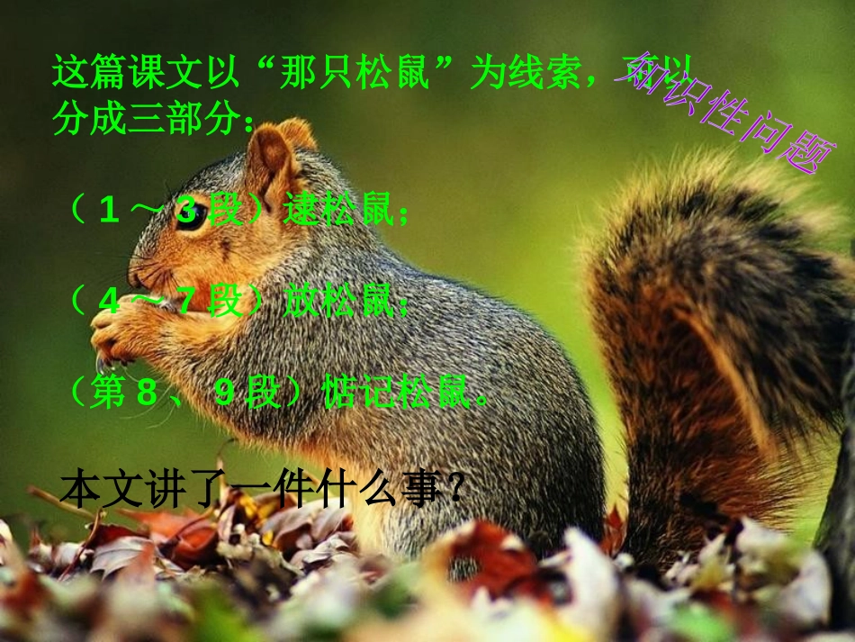 《那只松鼠》PPT课件[湘教版四年级语文上册]_第3页