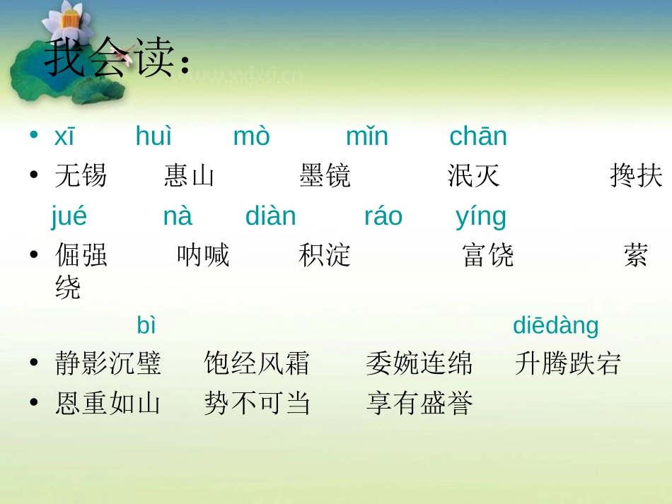 《二泉映月》PPT课件[湘教版四年级语文下册]_第3页