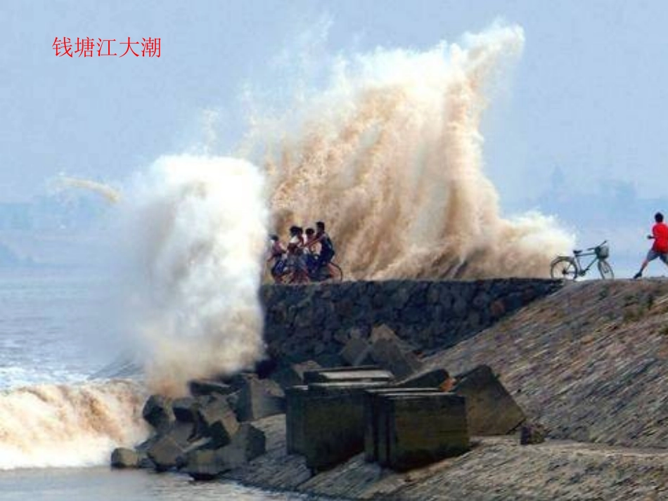 《太平洋的来客》PPT课件[湘教版四年级语文下册]_第3页