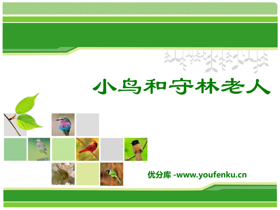 《小鸟和守林老人》PPT课件[湘教版五年级语文上册]_第1页