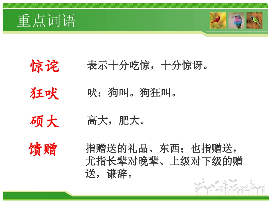《小鸟和守林老人》PPT课件[湘教版五年级语文上册]_第2页