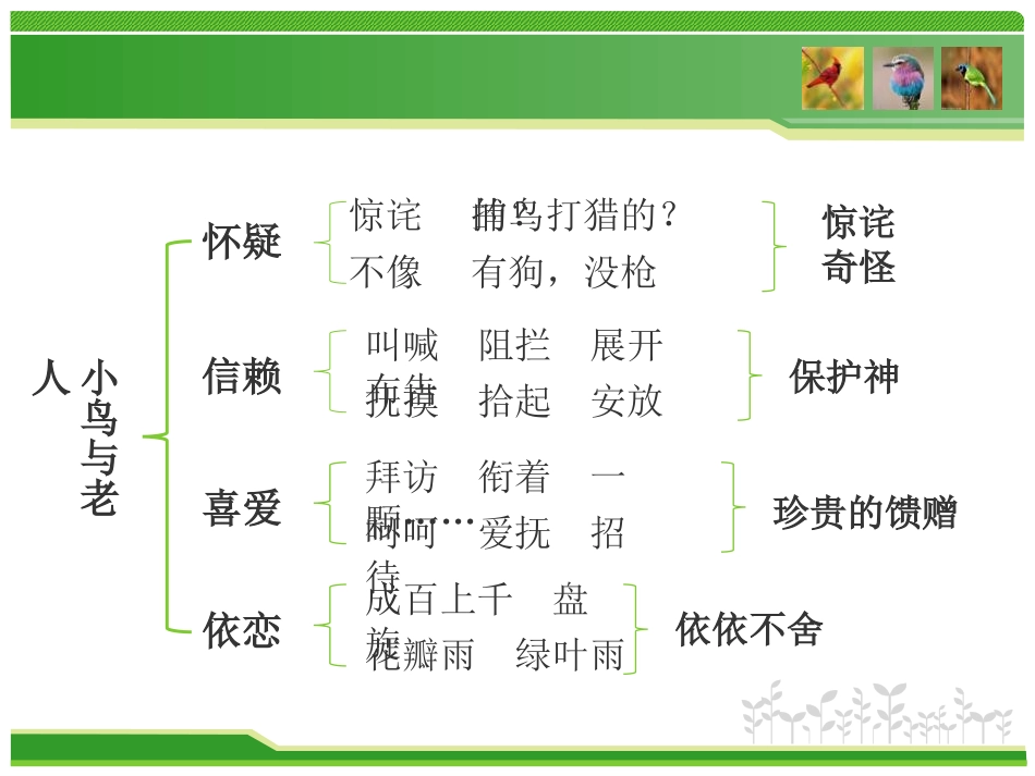 《小鸟和守林老人》PPT课件[湘教版五年级语文上册]_第3页