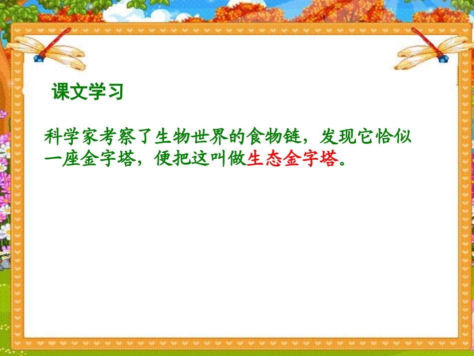 《生态金字塔》PPT课件[湘教版五年级语文上册]_第3页