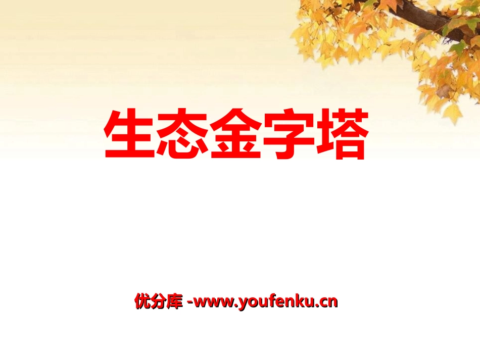 《生态金字塔》PPT课件[湘教版五年级语文上册]_第1页