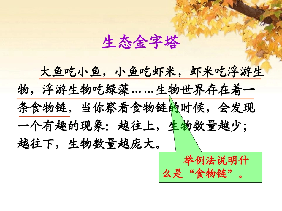 《生态金字塔》PPT课件[湘教版五年级语文上册]_第3页