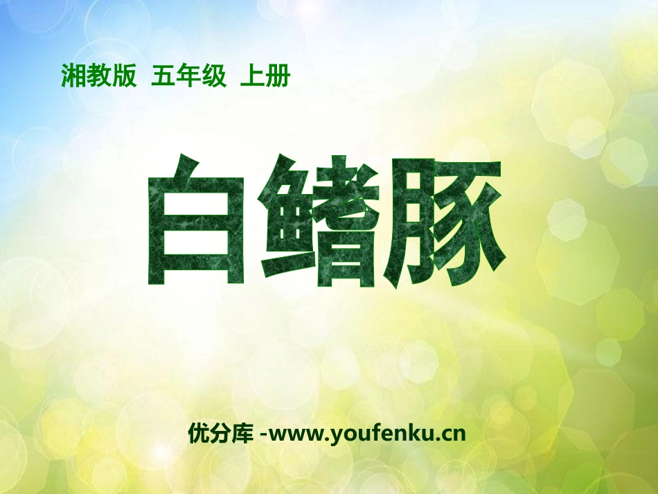 《白鳍豚》PPT课件[湘教版五年级语文上册]_第1页