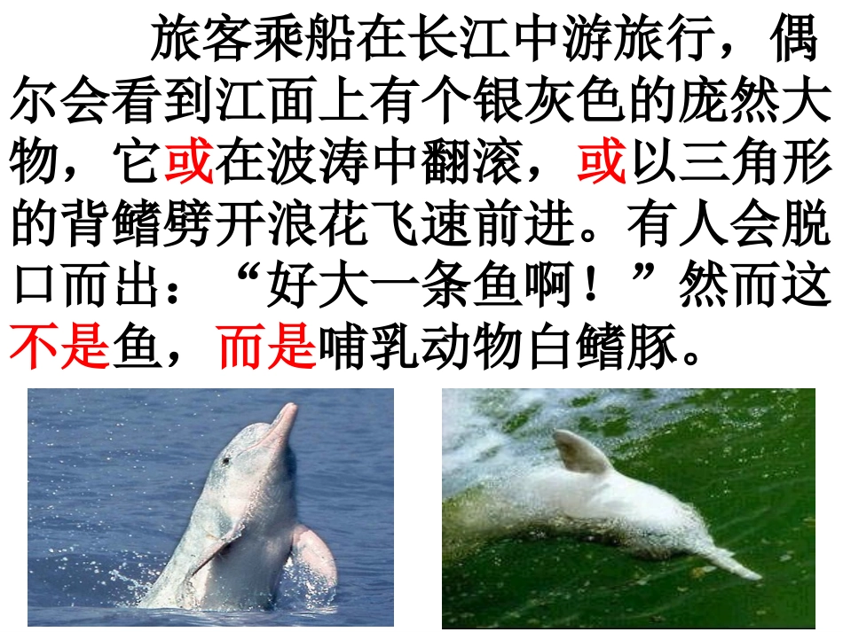 《白鳍豚》PPT课件[湘教版五年级语文上册]_第2页