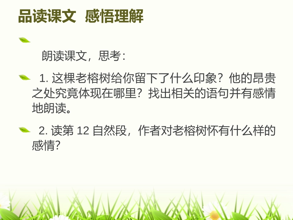 《XXX有棵老榕树》PPT课件[湘教版五年级语文上册]_第2页
