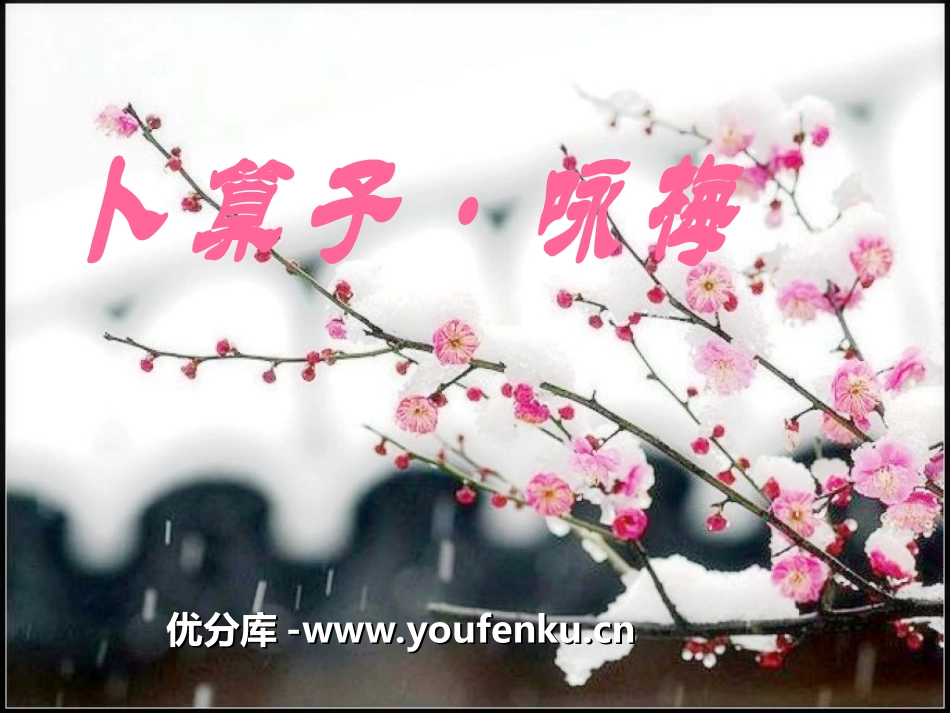 《卜算子·咏梅》PPT课件[湘教版六年级语文上册]_第1页