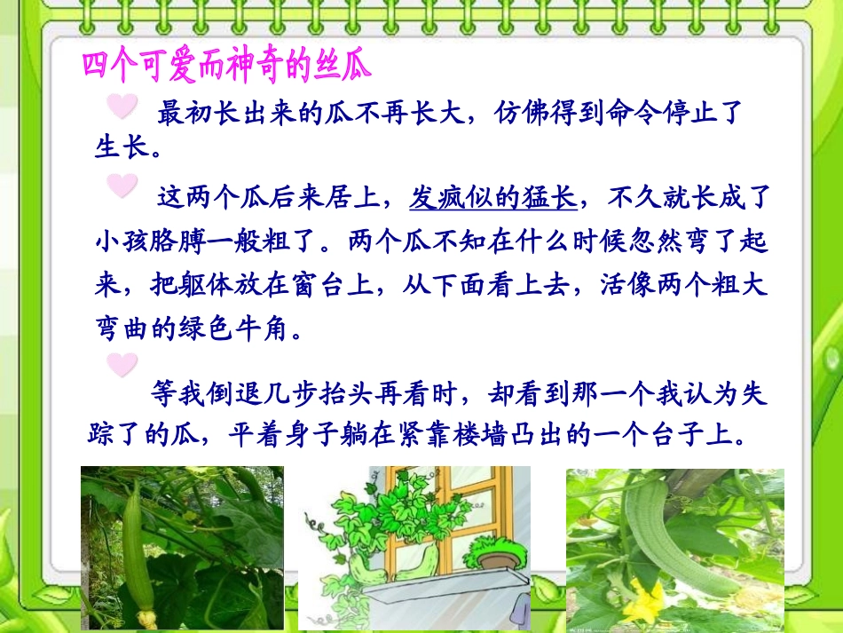《神奇的丝瓜》PPT课件[湘教版六年级语文上册]_第3页