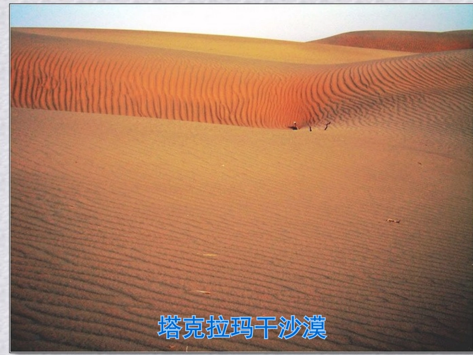 《采访对象是棵树》PPT课件[湘教版六年级语文上册]_第2页