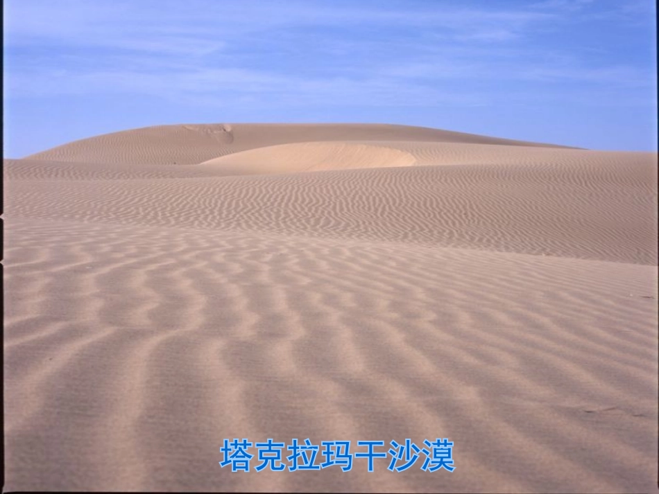 《采访对象是棵树》PPT课件[湘教版六年级语文上册]_第3页
