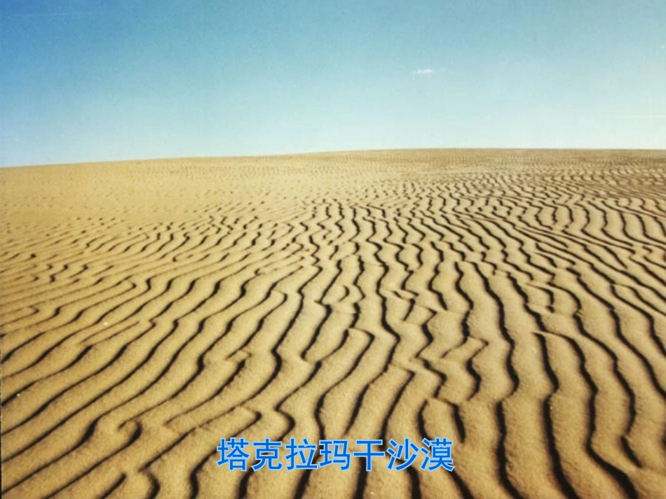 《采访对象是棵树》PPT课件[湘教版六年级语文上册]_第2页