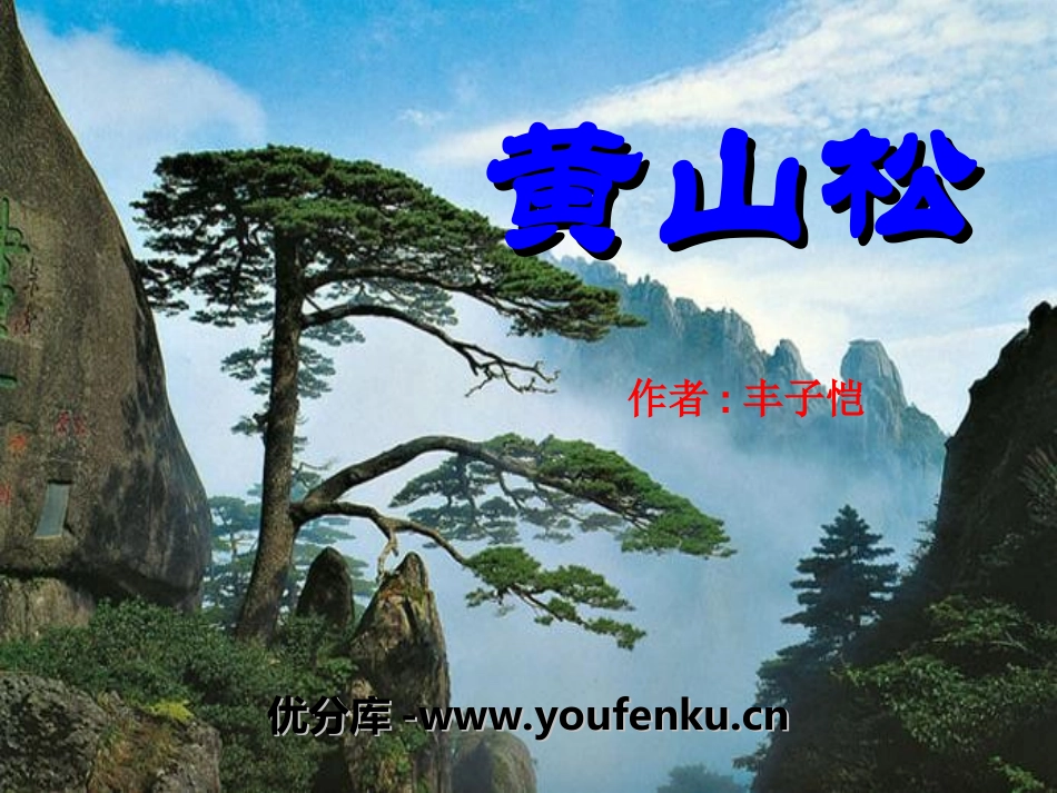 《黄山松》PPT课件[湘教版六年级语文上册]_第1页