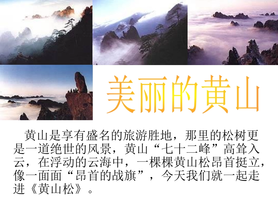 《黄山松》PPT课件[湘教版六年级语文上册]_第3页