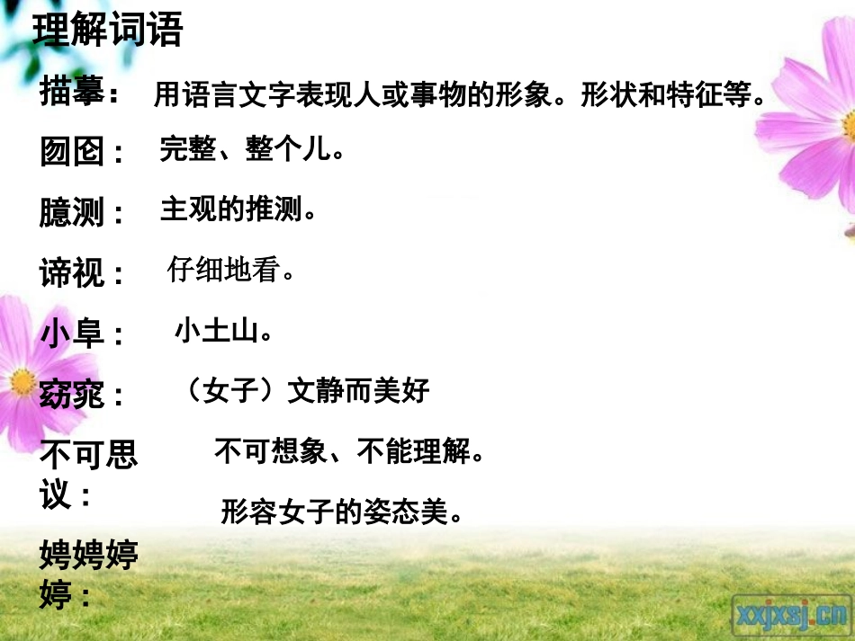 《黄山松》PPT课件[湘教版六年级语文上册]_第3页