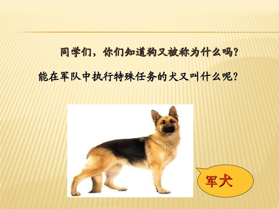 《军犬黑子》PPT课件[湘教版六年级语文下册]_第1页