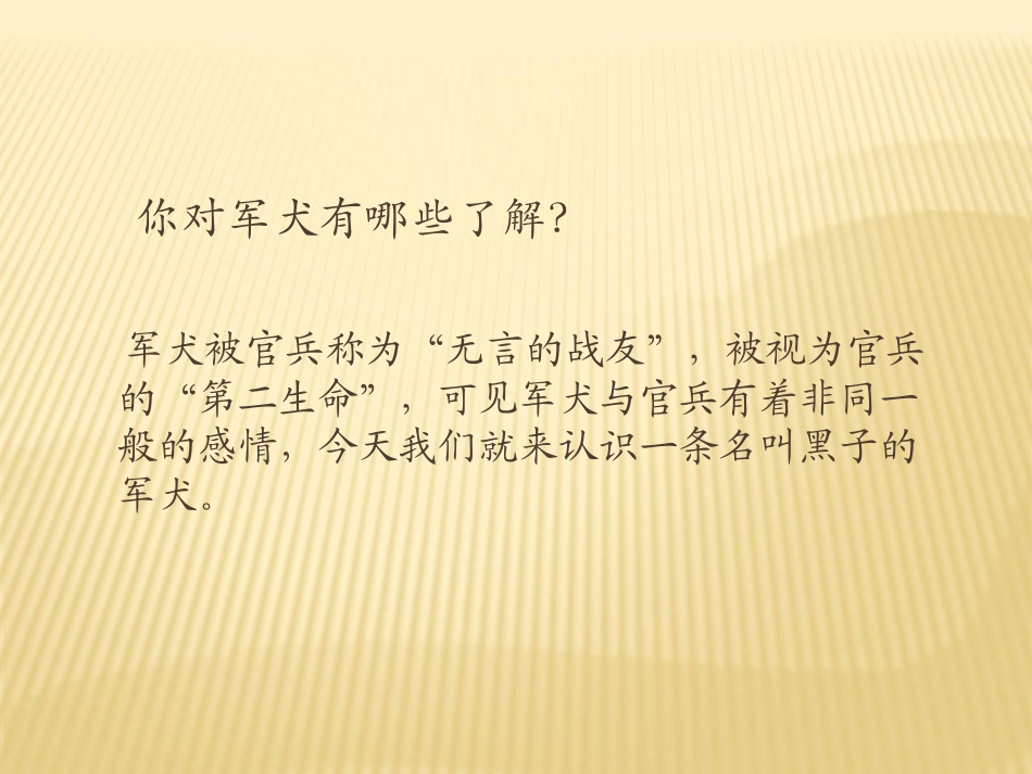 《军犬黑子》PPT课件[湘教版六年级语文下册]_第3页