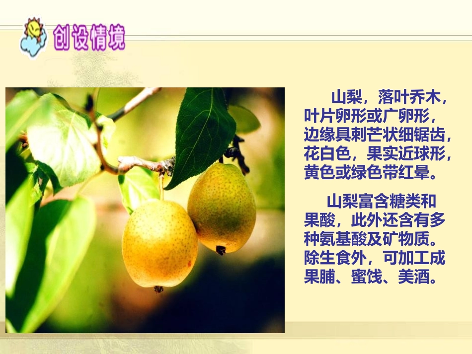 《回味山梨》PPT课件[湘教版六年级语文下册]_第3页