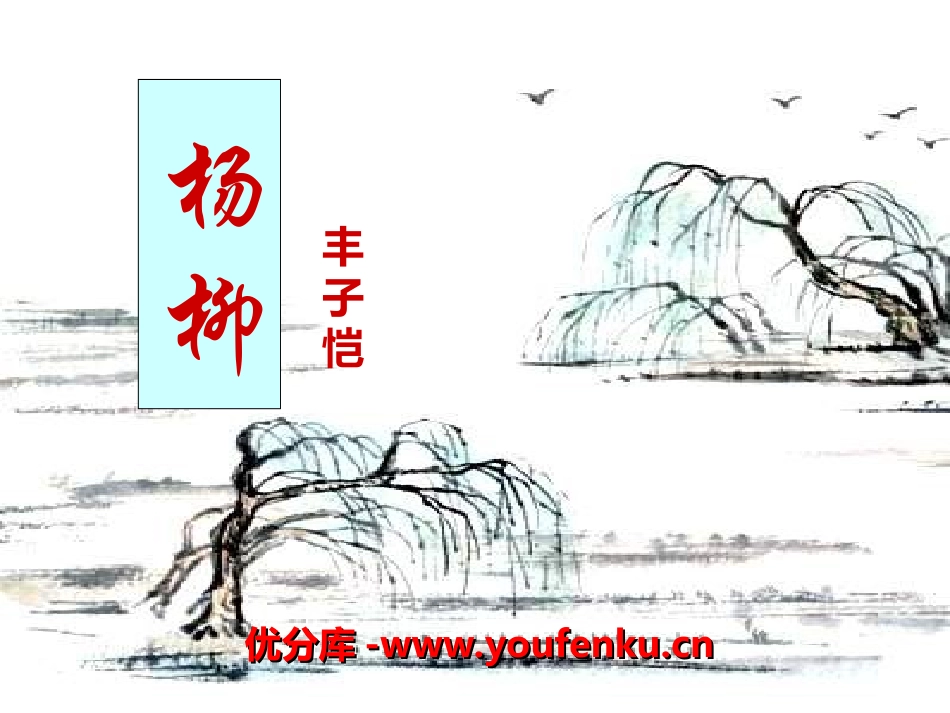 《杨柳》PPT课件[湘教版六年级语文下册]_第1页