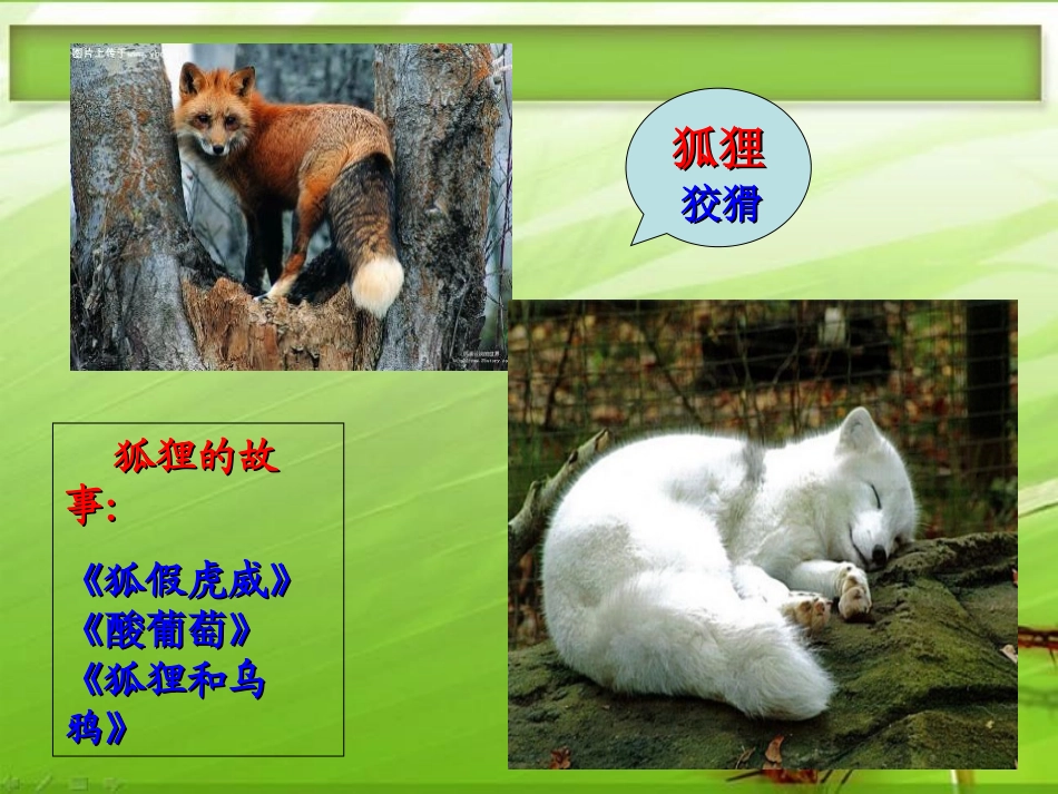 《狐狸的清白》PPT课件[湘教版六年级语文下册]_第2页