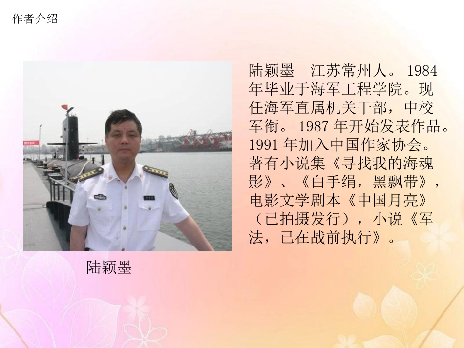 《礁盘》PPT课件[湘教版六年级语文下册]_第2页