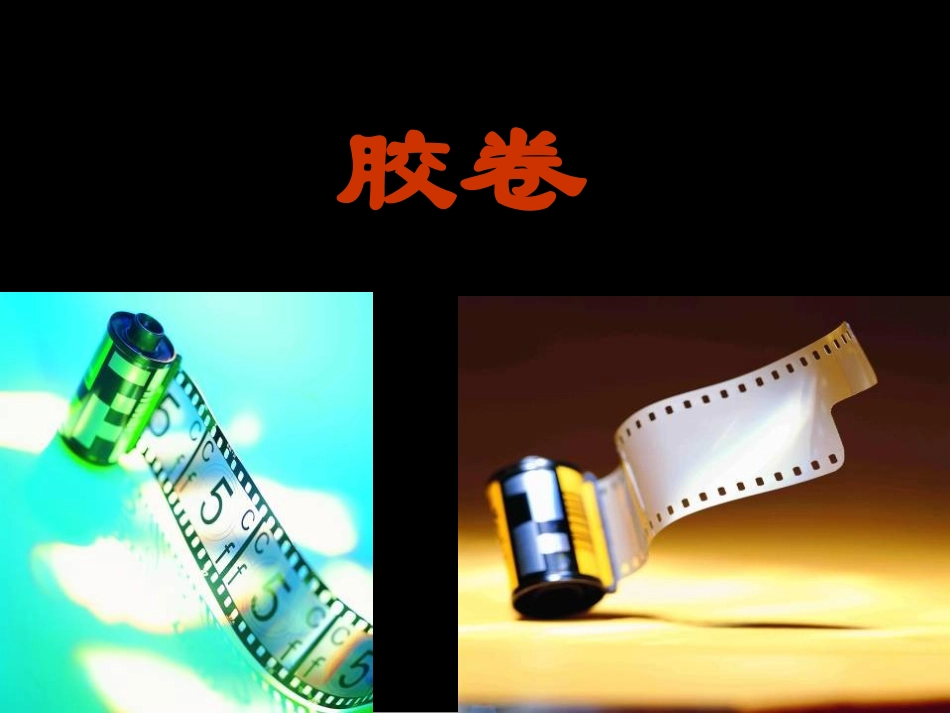 《虎口藏宝》PPT课件[湘教版六年级语文下册]_第2页