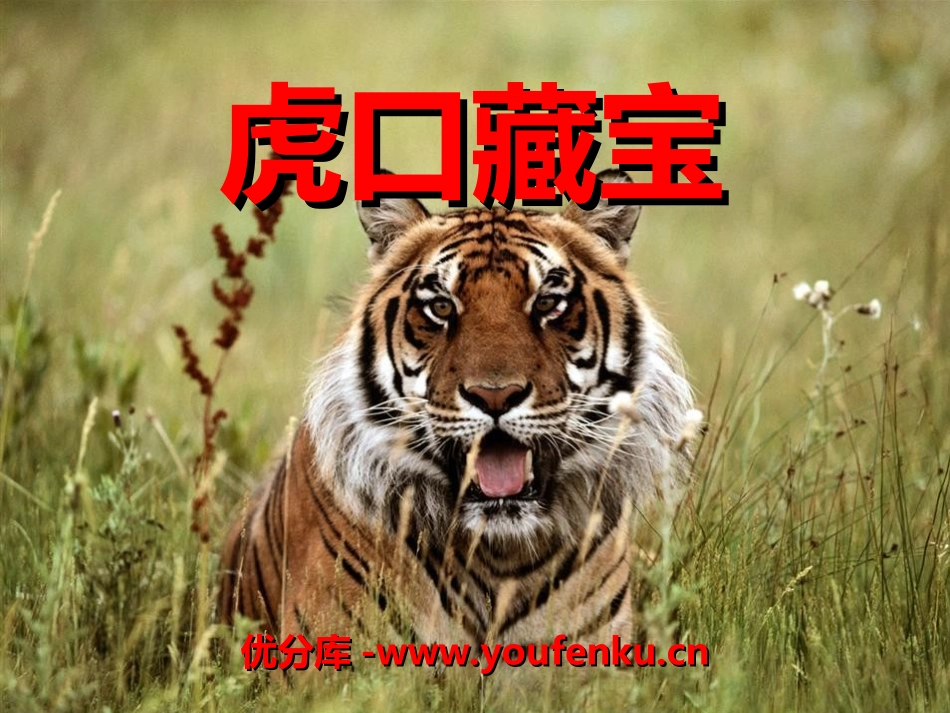 《虎口藏宝》PPT课件[湘教版六年级语文下册]_第1页