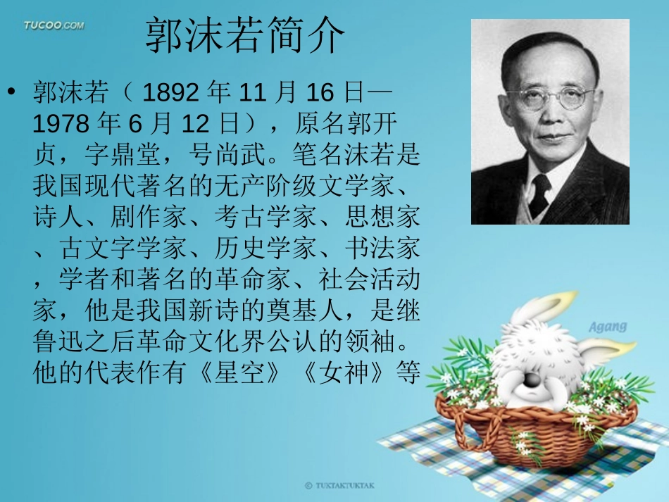 《鹭鸶》PPT课件[湘教版六年级语文下册]_第2页