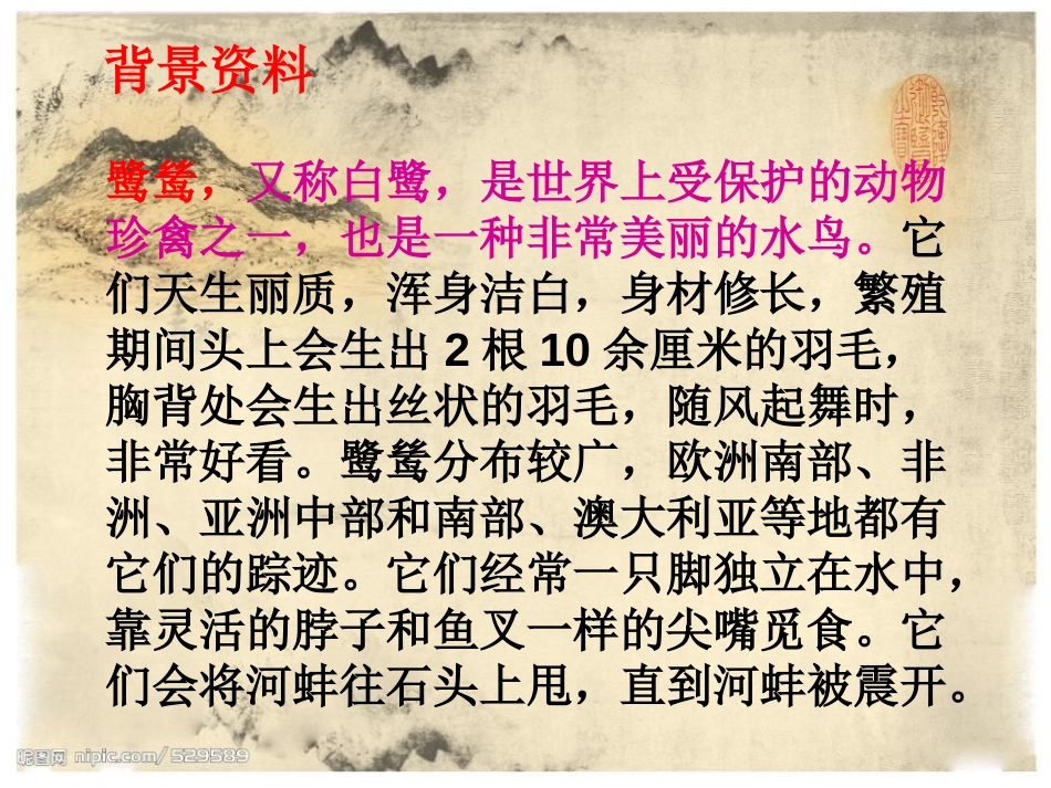 《鹭鸶》PPT课件[湘教版六年级语文下册]_第3页