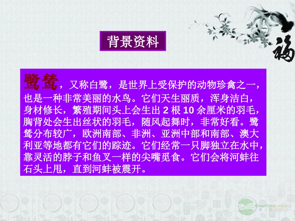 《鹭鸶》PPT课件[湘教版六年级语文下册]_第3页