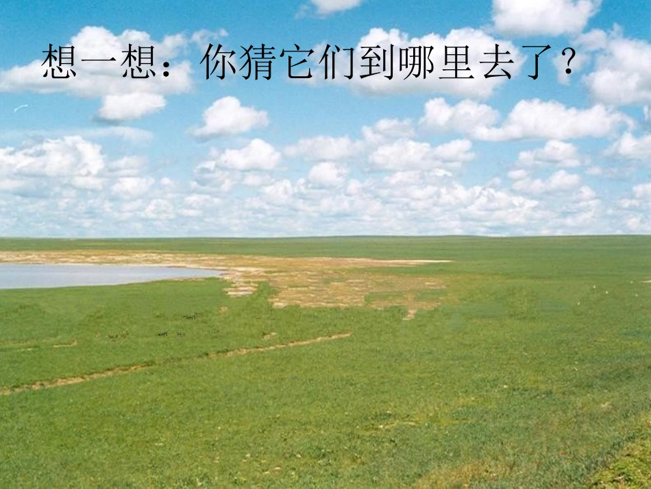 《天上的小白羊》PPT课件[冀教版一年级语文上册]_第3页