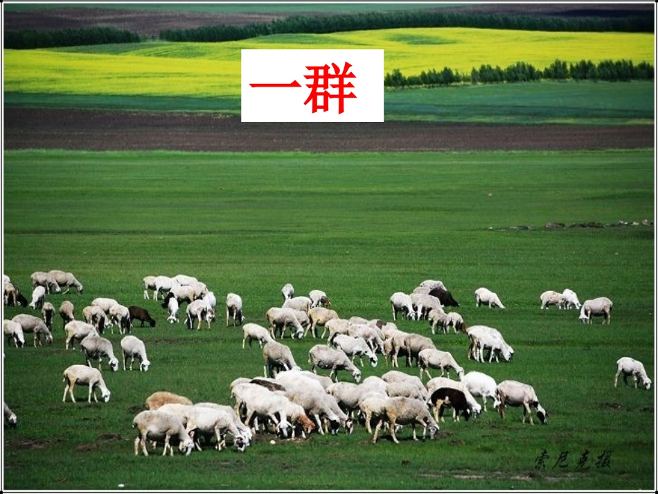 《天上的小白羊》PPT课件[冀教版一年级语文上册]_第2页