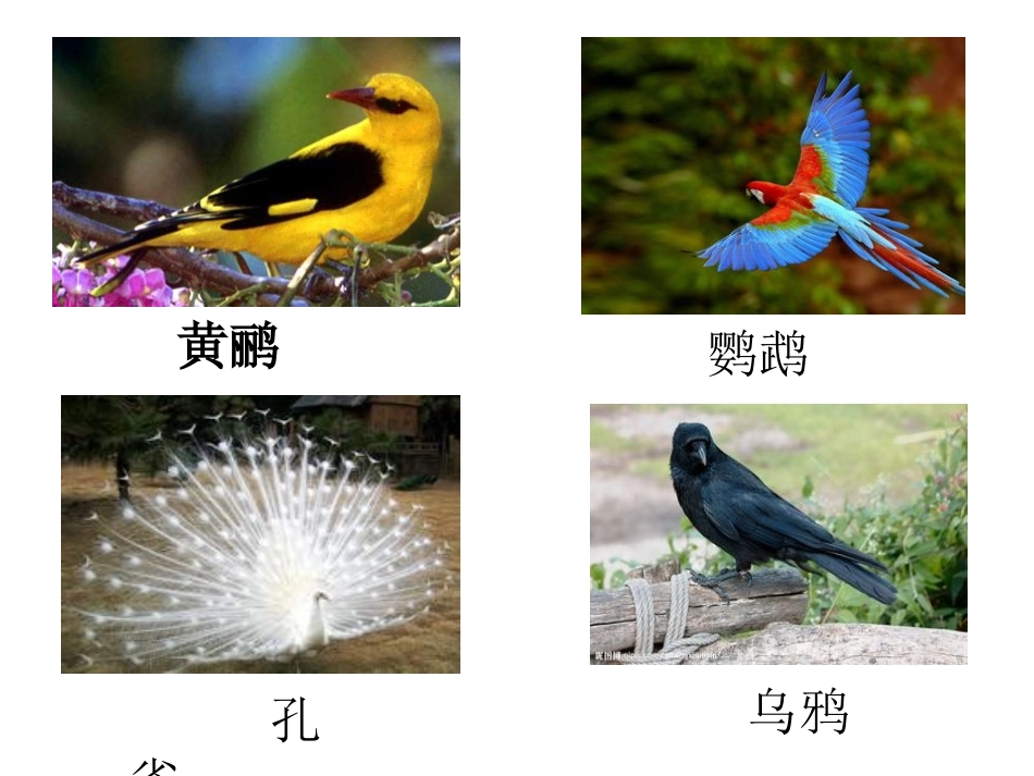 《小乌鸦和妈妈》PPT课件[冀教版一年级语文上册]_第1页
