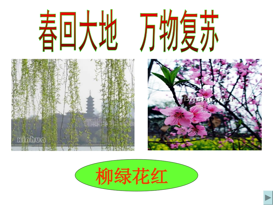 《春雨的色彩》PPT课件[冀教版一年级语文下册]_第2页