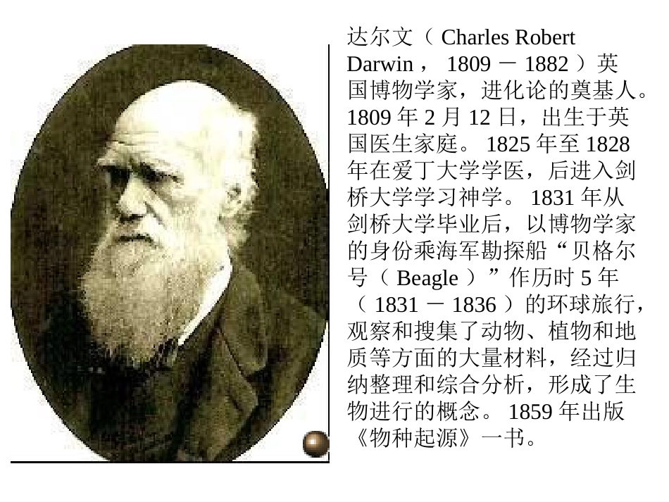《达尔文和小松鼠》PPT课件[冀教版一年级语文下册]_第2页