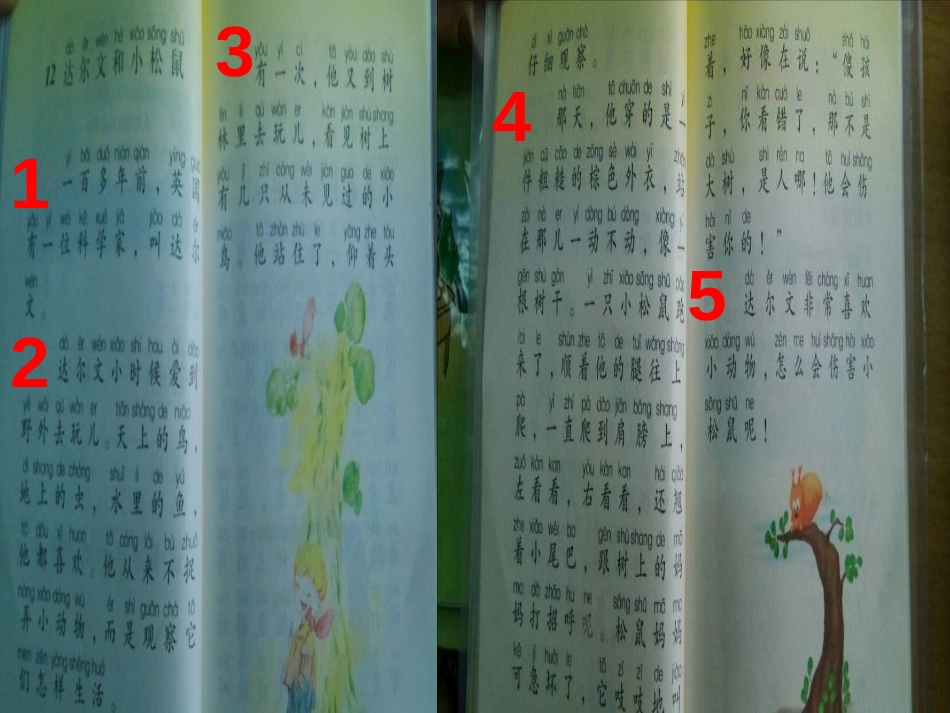 《达尔文和小松鼠》PPT课件[冀教版一年级语文下册]_第2页