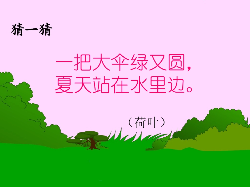 《荷叶伞》PPT课件[冀教版一年级语文下册]_第2页